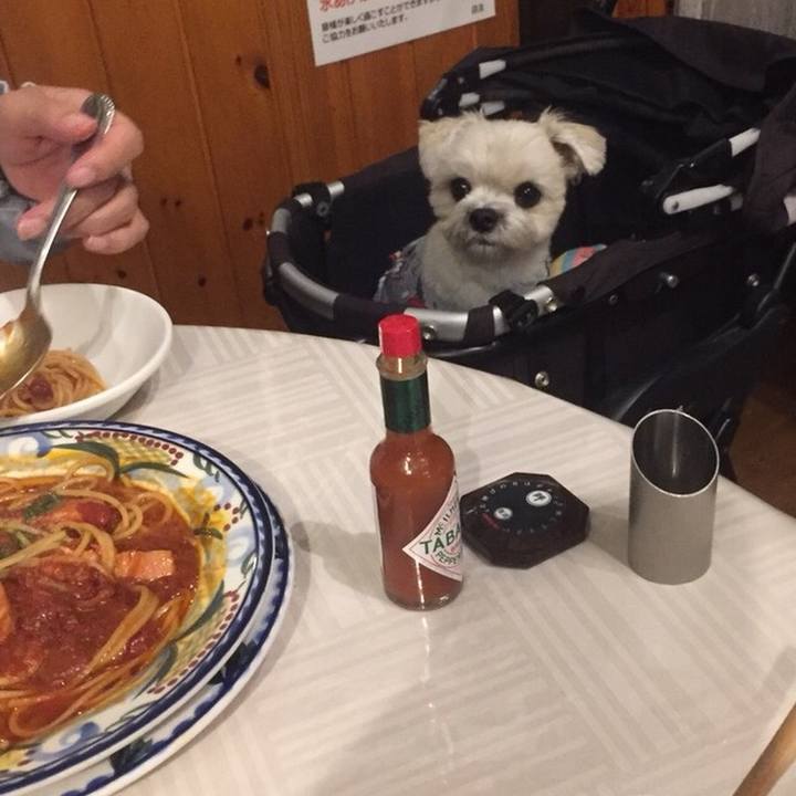 3f056370 9512 4de5 a94e fa1629118c67 1509536411339