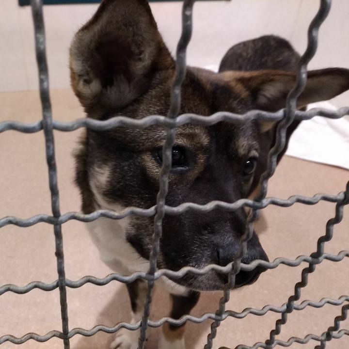 3f059013 d4d0 4385 9045 4f36046b307b 1541142596663