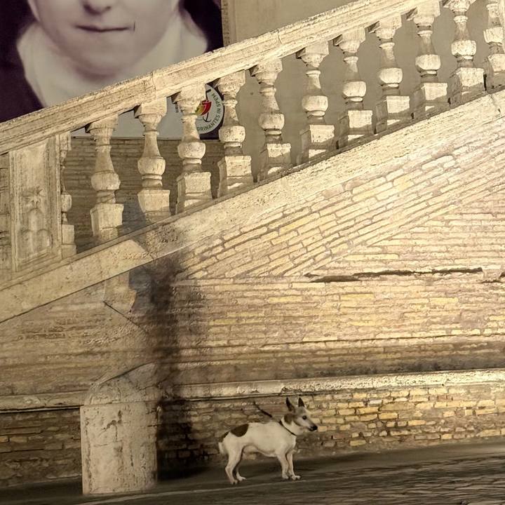 3f05c3fd 5793 40af ae7e 2eb2caccb941 1756327934311