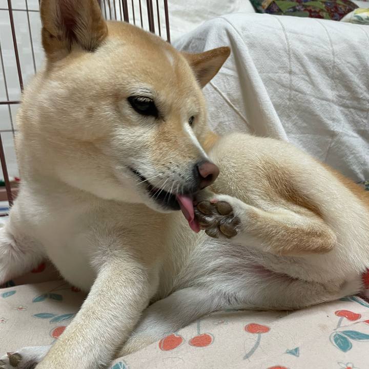 3f05f9fd 8d99 4441 8dcf aeb58bd8a3e7 1726571825922