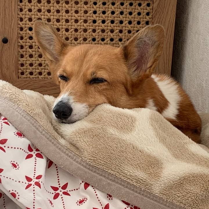 3f05fb3a e4de 4bb2 aa4c b985b0638f2c 1700887984870