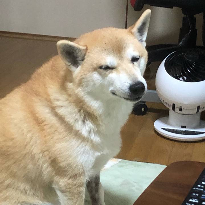 3f061008 e811 4b62 8505 929659efef0b 1575200691148