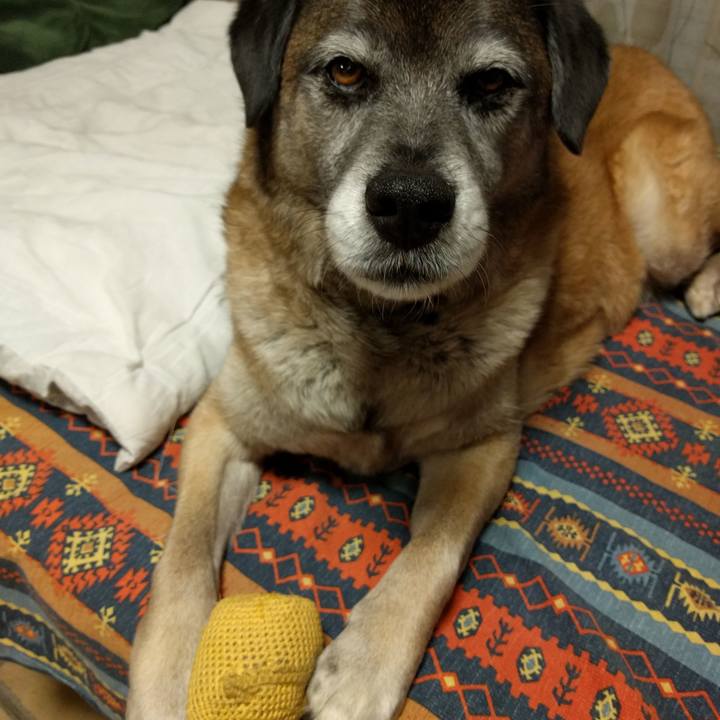 3f0610fe 7158 4b3c bdda c977f824ded4 1719966793410