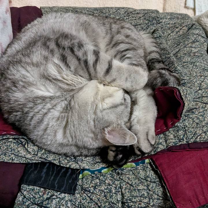 3f061243 2492 42bd af80 277096b0313c 1745505846414