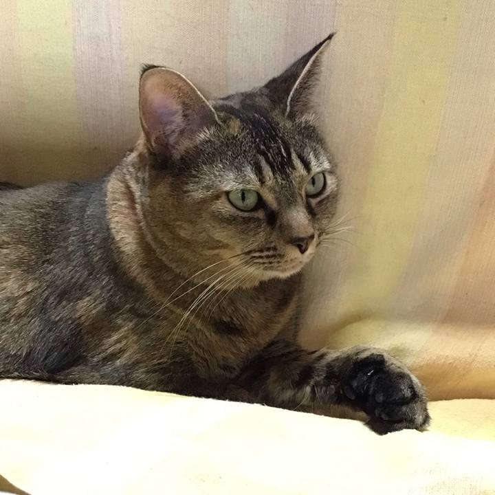 3f064ed2 f312 44cb 86c9 f1415122e8ec 1707288820342