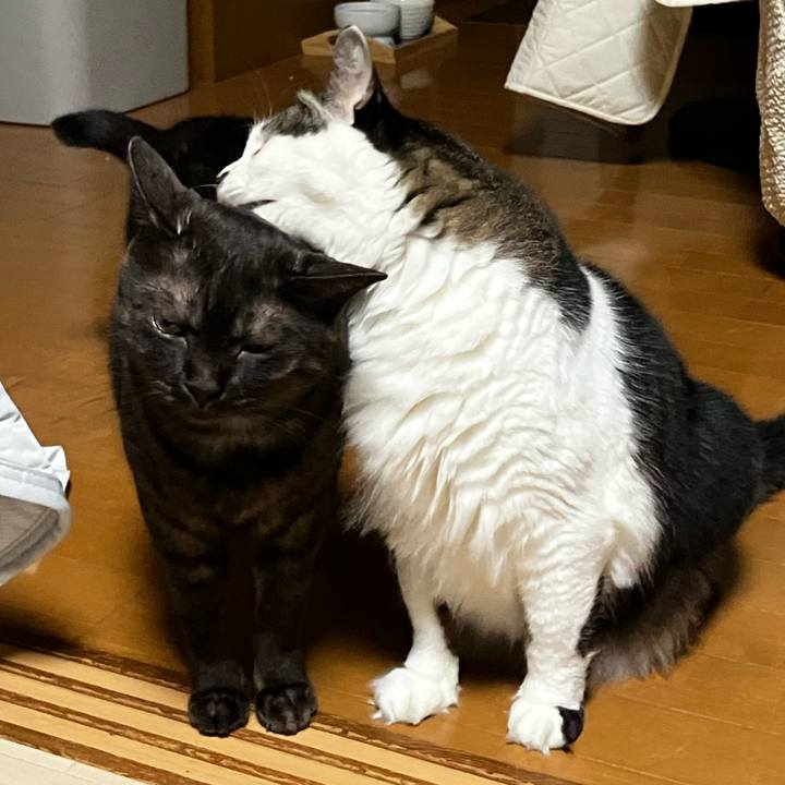 3f066b27 b5e8 4122 970d 5e37ba5ceccd 1724897244527