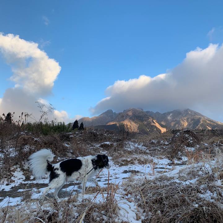 3f06970b 83e0 4406 a530 feb107824162 1610186664044