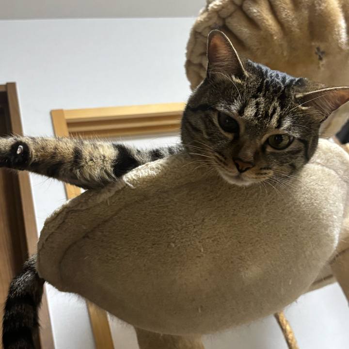 3f06a6db 81e0 406a ae21 2da18ddf8a29 1755999562388