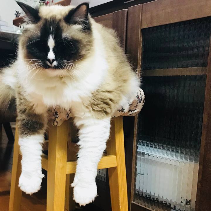 3f06cf40 dc34 4685 9e9b ffb88b3ecb4c 1517867266635