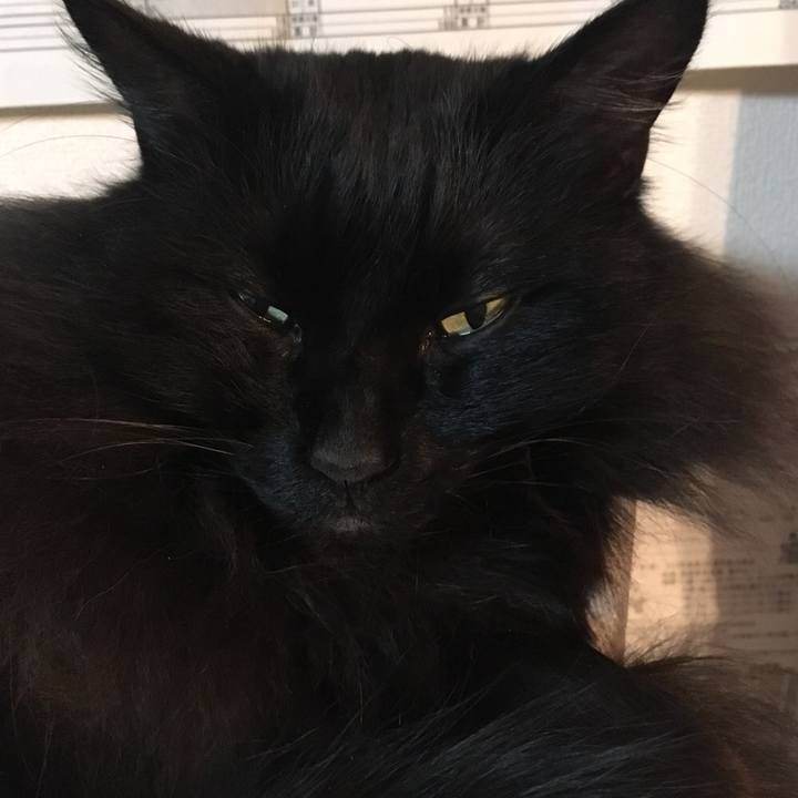 3f06dfbf 7c16 47f0 8d72 93aecd320836 1547985125755