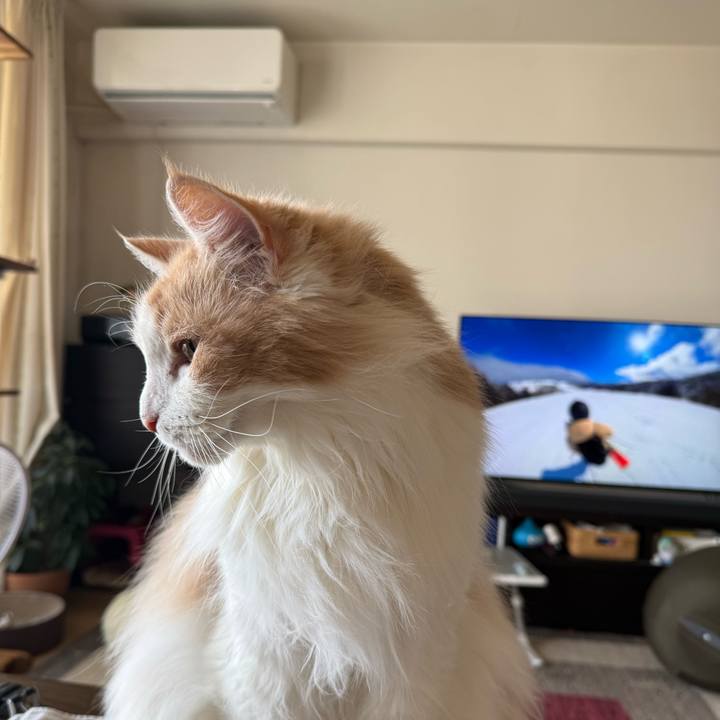 3f077430 fc7c 407b ba78 639e8b6dd304 1772330444896