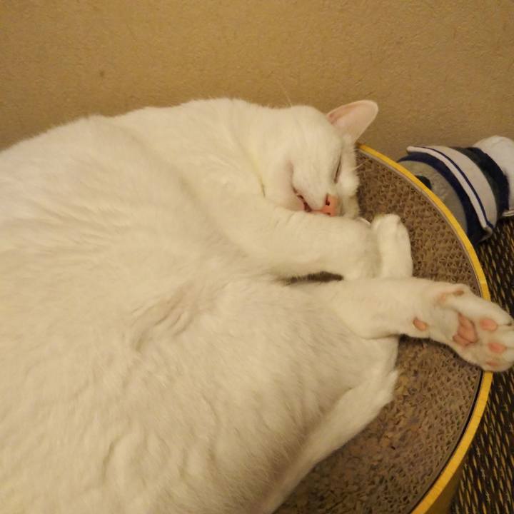 3f077b73 3cf0 4cbf b8ac 93e9876f18b6 1594392837709