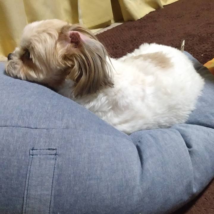 3f07950f a369 47ee 98f6 fb1ef9d290e8 1585096134301