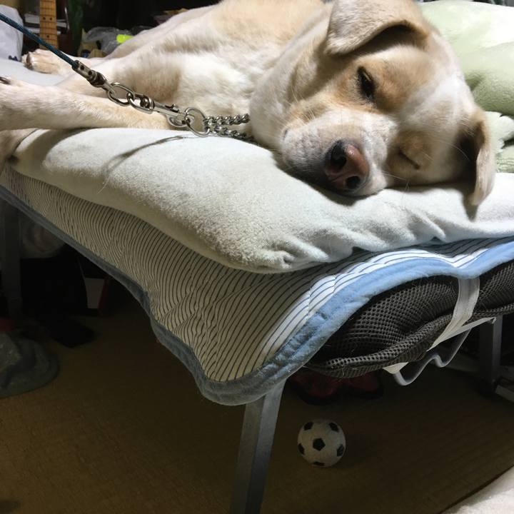 3f079e97 155a 483a af4c 2e727d9b7dbc 1508540443164