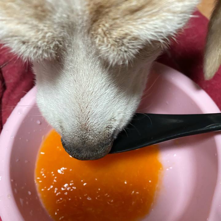 3f07c495 2093 425c b6b8 50098b8bbe20 1616238485438