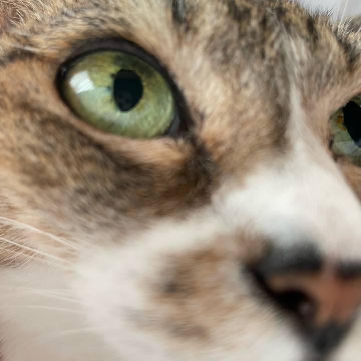 3f07fc61 34d4 4091 bca7 d876bff1f191 1662773740204