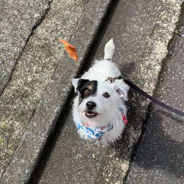 3f07fc93 de37 42dd a82d 1659b3e438d1 1688601712889