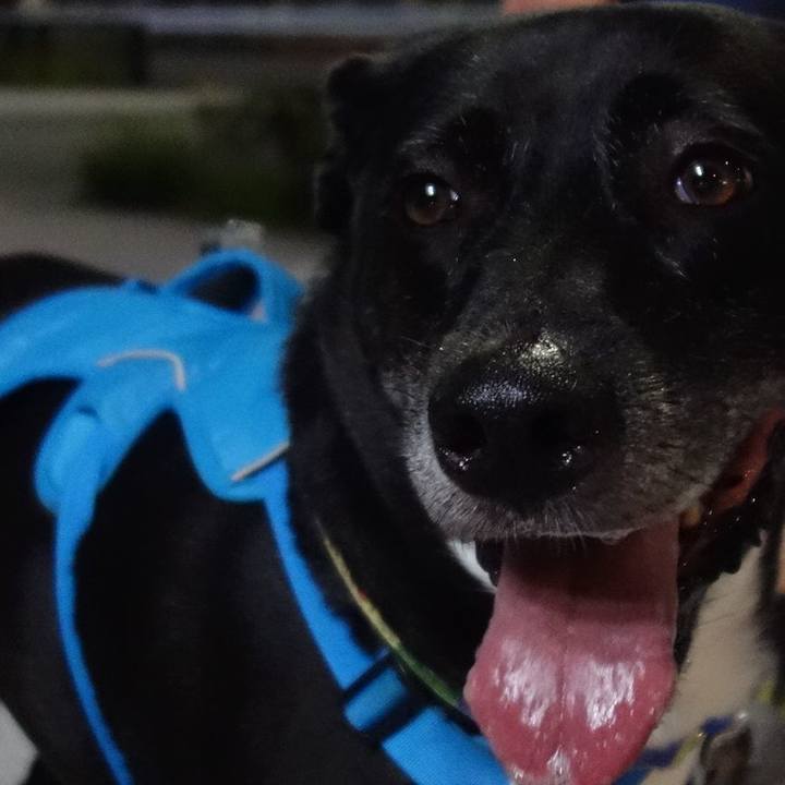 3f084173 ed0d 4a28 9050 9e76d16bfb98 1691667313085