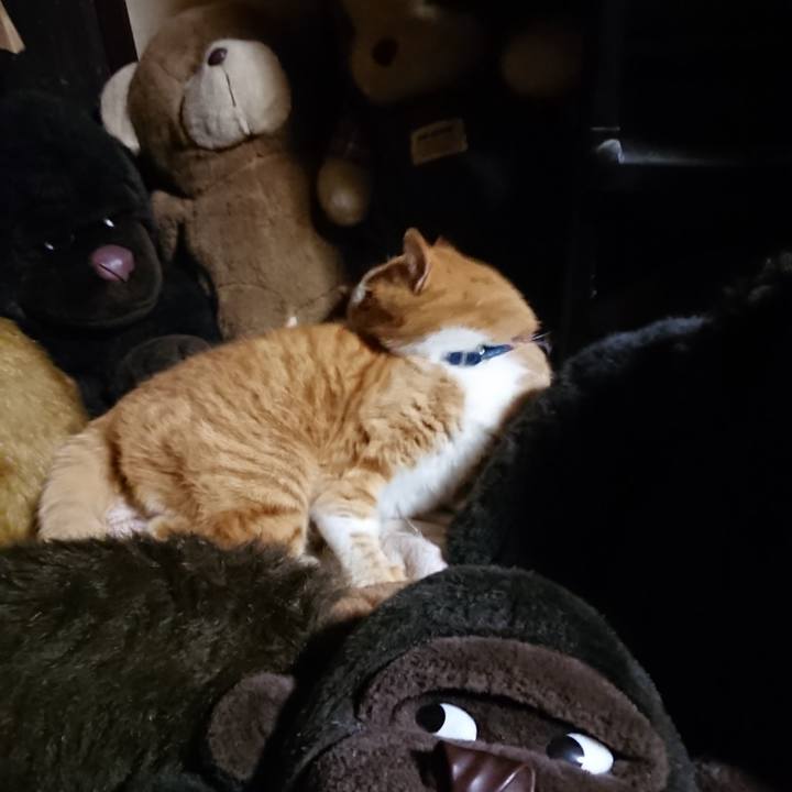 3f087a2a 5d59 4e3b 96d0 b41cec910071 1607683142420