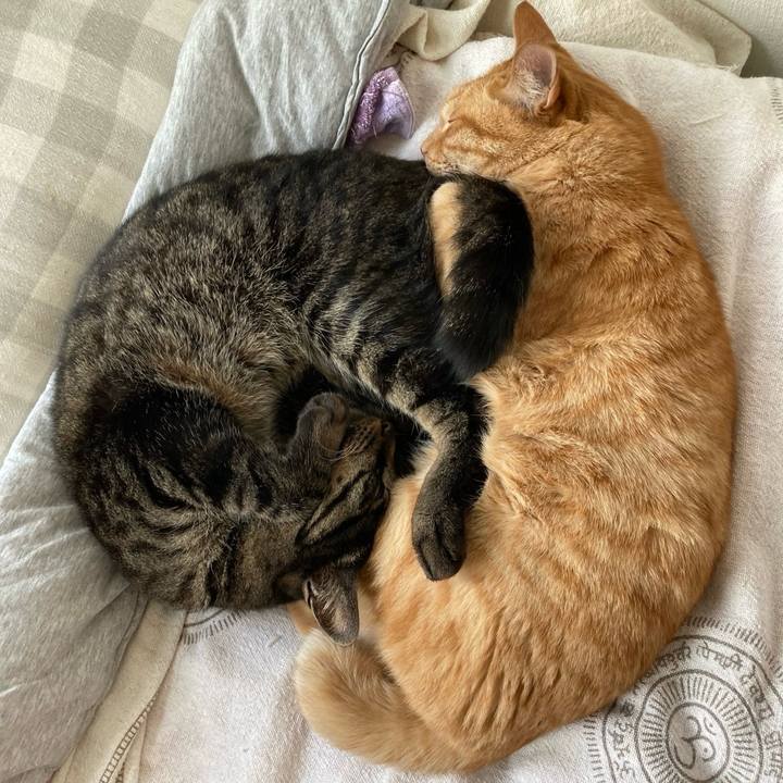 3f08aaba 8b06 4f35 b01c 9a37adba5b86 1716891562936