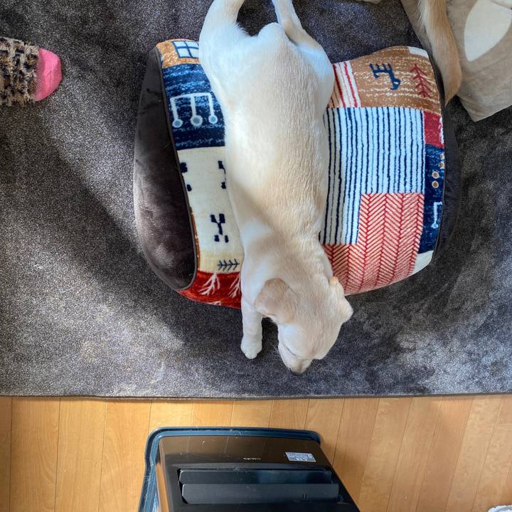 3f08d5e1 8385 4b42 903e 6714f89472ee 1612763180664