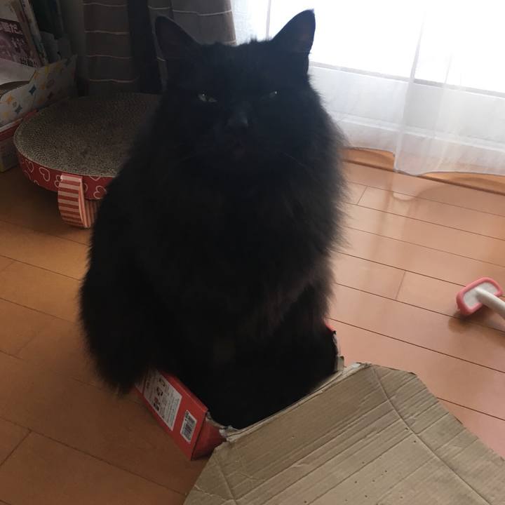 3f08eea8 31c9 4fce ab3d c5aae253206b 1548297040649