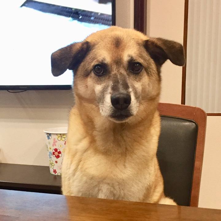 3f090a9f f3bd 48a9 8b48 d4cf8e0693f3 1529329758109