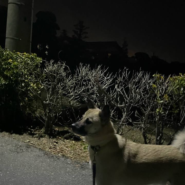 3f0911e1 e956 4249 8da0 f92ce3aa57f2 1641903596761