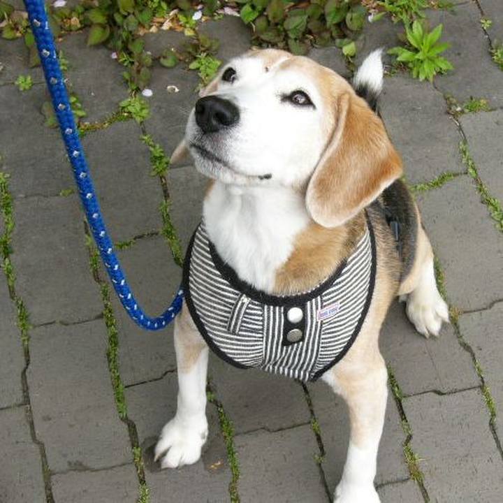 3f091ca5 5f8c 4d08 9a97 d3bed2785d0a 1663976726785