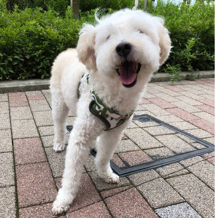 3f0924cf 2a25 412e b704 440c8a0a25f7 1534086248027