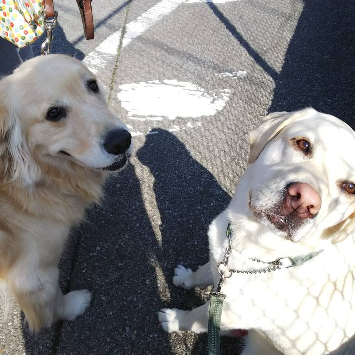 3f094eae 22e3 4e05 b3ca f475cc9423c9 1520129146078