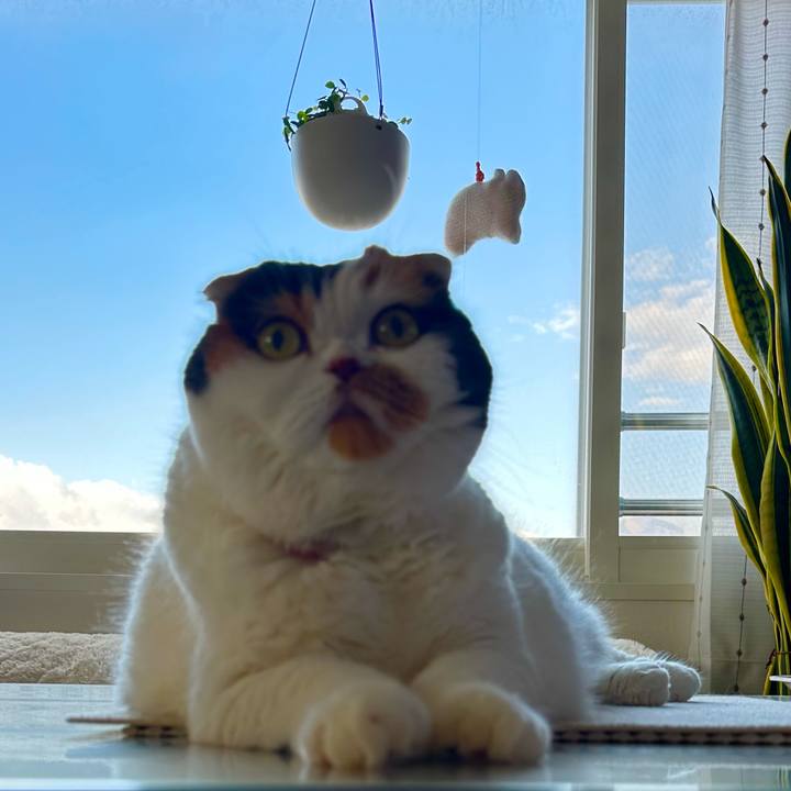 3f09880d a1c1 4727 8bd3 e866d875747b 1712267026237