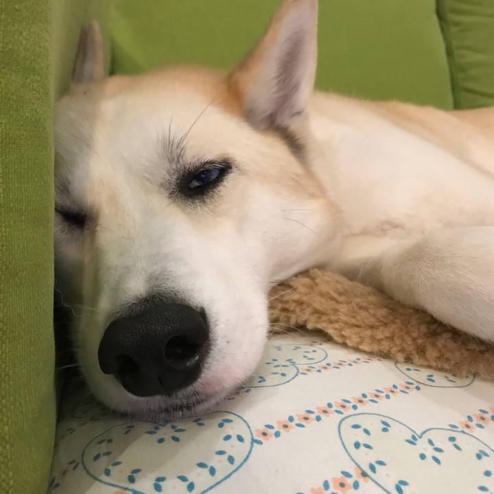 3f09ffff 7645 4a83 a668 ea96bb034cfe 1517317335473