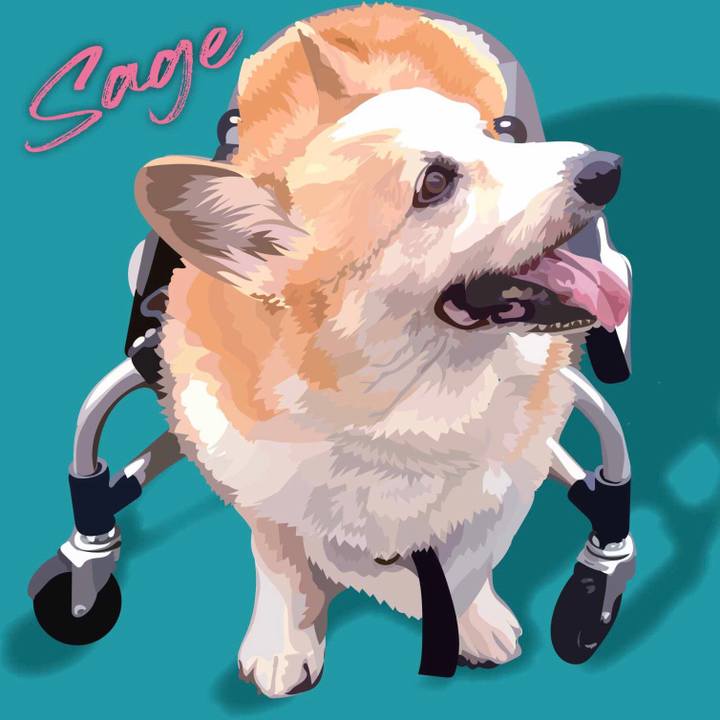 3f0a0422 b9f2 4a6e af17 21306e76124a 1644583399388