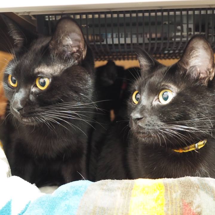 3f0a04ea 35f8 4274 b447 182fff6e8223 1542857316107