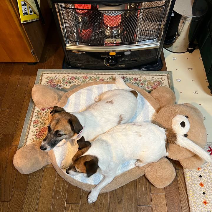 3f0a0577 1fd7 4812 b14e 0b6d2ade53c0 1671360266365