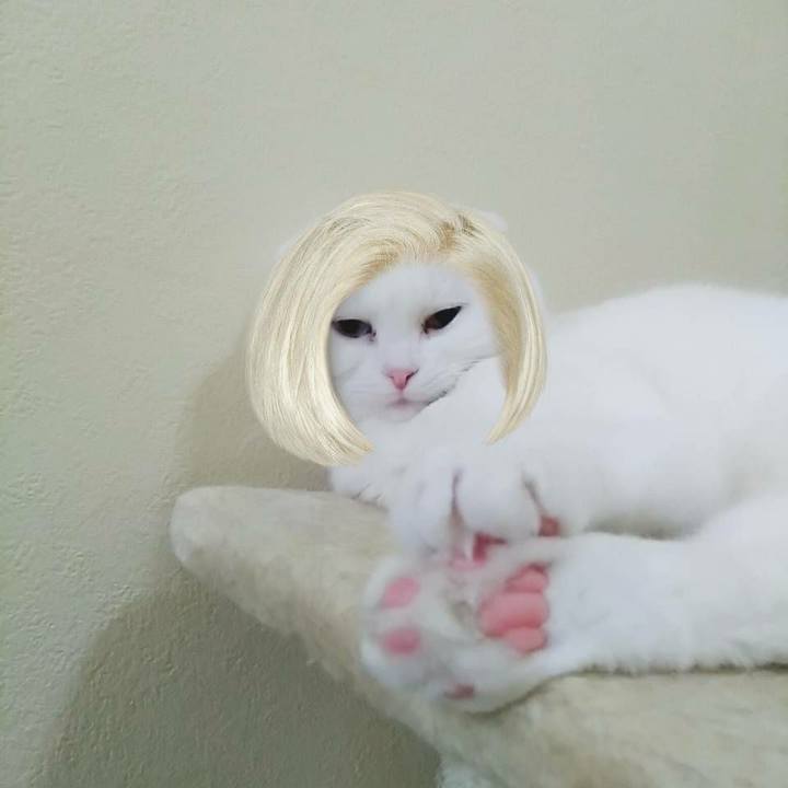 3f0a17cc 29fd 41b5 a903 9ef690070f0c 1564203457255