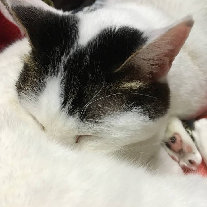 3f0a208d 934a 4fd0 9bcf da6e4d910a80 1517580169366