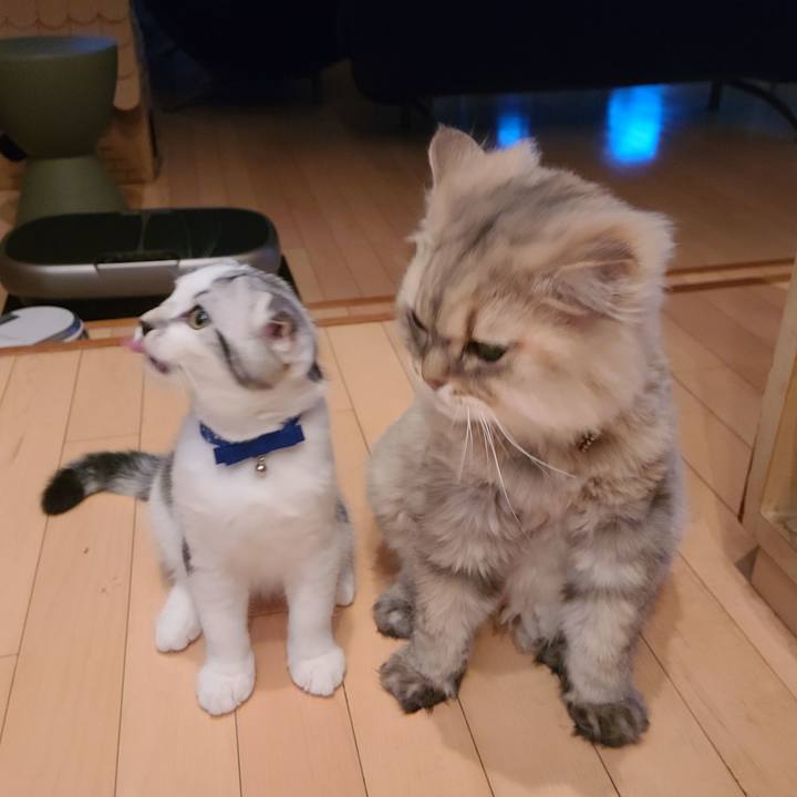 3f0a6838 8034 43f0 b0df a6e06f0e96c6 1629796851756