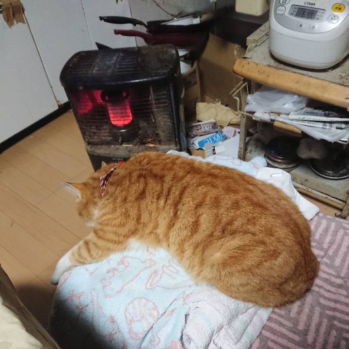 3f0a7047 1366 4297 828e a23d7be98592 1606944841205