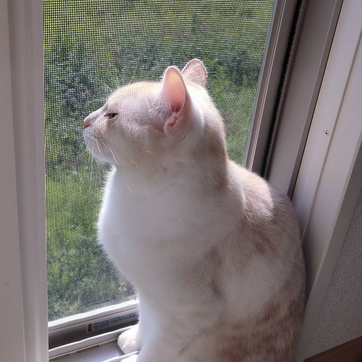 3f0a72f8 2691 4e4b a3fc af08447a0ba0 1684366087503