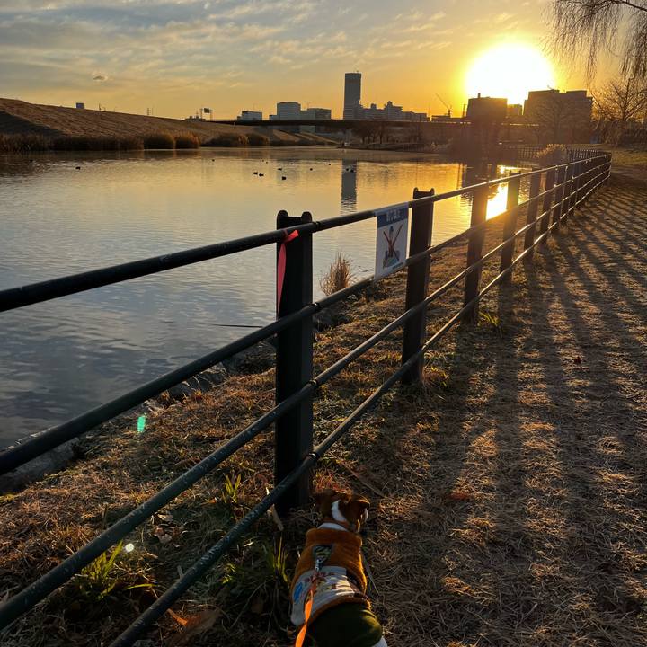 3f0a852f 01aa 4ade 883c 52ae76de6833 1735475987578