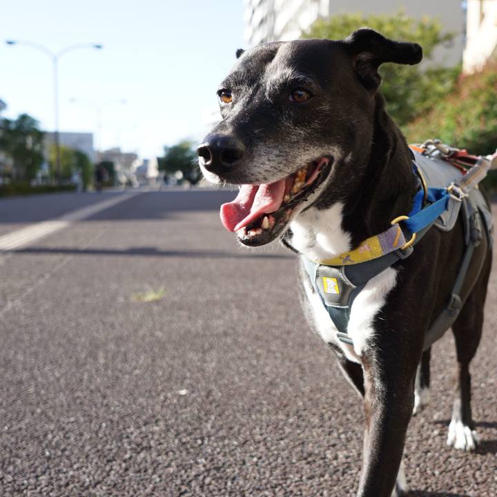 3f0aadc5 e72b 4d5b 8e1a c222ffe6bcd6 1760676687627