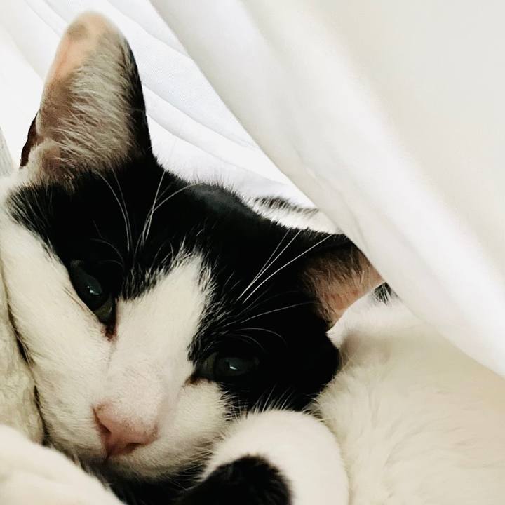 3f0b1ac9 ac21 407c 8c1a 782adc9beacd 1611972119939