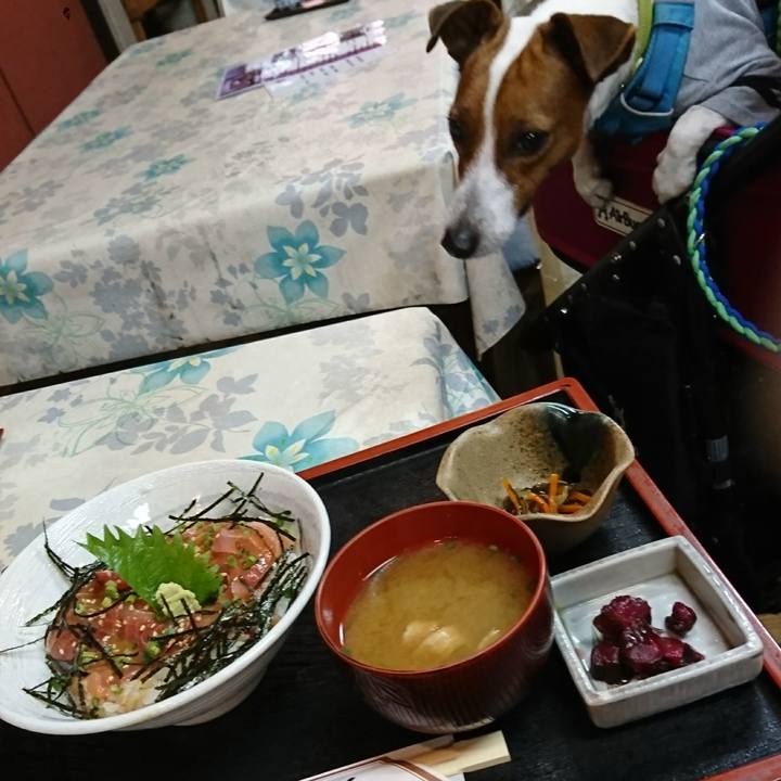 3f0b1f4d c844 4cb3 af6f 281bc26e2a5e 1603860760657