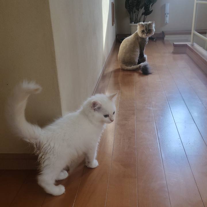 3f0b3b2f e235 4d5c bd2d 59ceef0cca2c 1655107735355