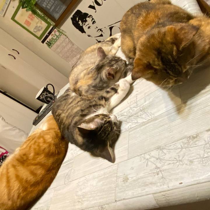 3f0b3d85 58ea 47eb 96bf 720d4b35c38a 1606414482591