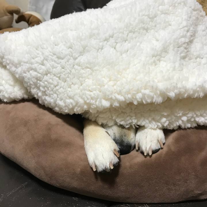 3f0b4e8d 1c4a 4da4 846d 45cd062c22c5 1518410328971