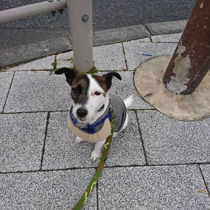 3f0b6265 9111 4a6b 9217 289f61683ca6 1514685990147