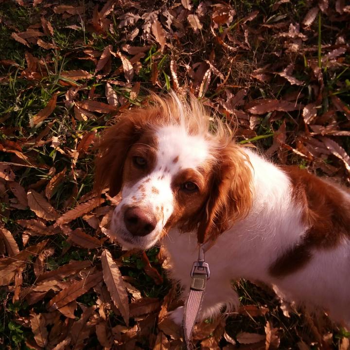 3f0b889e 0564 4518 8c33 1131e5f7f3b5 1512808378290